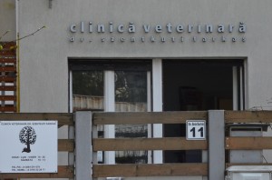din poartă      